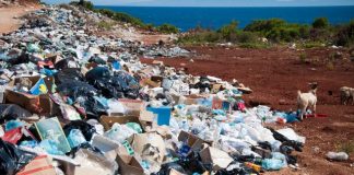 México recibiría toneladas de basura plástica de EU