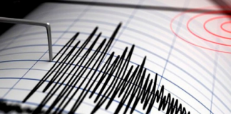 Oaxaca, seguirá siendo el número 1 en sismos, advierte CEPCO