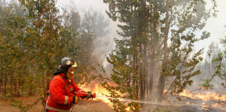 Temen año difícil por incendios forestales