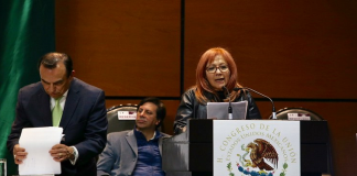 Privó en CNDH una autonomía de “pantalla”: Rosario Piedra