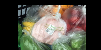Sheinbaum: bolsas de plástico, tema abierto