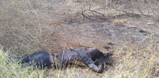 Localizan cadáver de femenina en el Istmo