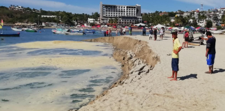 Pleamar en la costa de Oaxaca no representa riesgo para la entidad: CEPCO