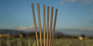 Popotes de agave, la apuesta de Greenprint para cuidar el medio ambiente