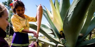 Airbnb y Rutopía te llevan a hacer pulque con mujeres mixtecas de Oaxaca