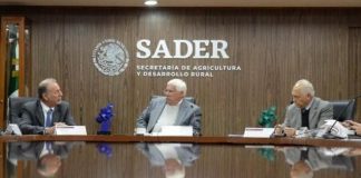 Piden indagar desvíos de apoyos a ganaderos en Oaxaca