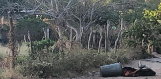 Inicia lunes con un ejecutado en Juchitán