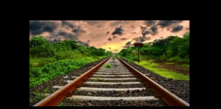 Más licitaciones para el Tren Maya, la semana próxima