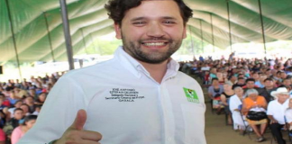 En 2020, PVEM será una de las principales fuerzas políticas: Pepe Estefan Gillessen