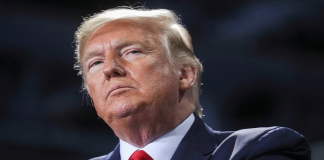 Despedirán a coronel de la Casa Blanca que testificó contra Trump