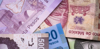 Sí habrá nuevo billete con imagen del ajolote, confirma Banxico
