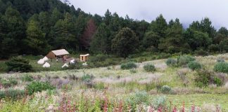 Camino Copalita: viaje de aventura de la sierra de Oaxaca a Huatulco