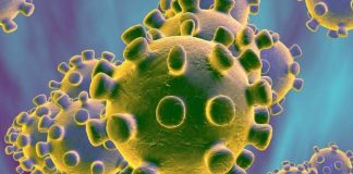 Negativo el caso sospechoso de coronavirus en Oaxaca