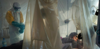 Hallan en virus del ébola elemento para tratar tumores del cerebro