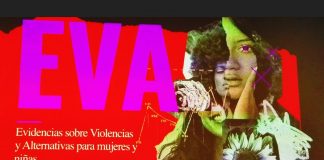 EVA: La plataforma que busca mejorar el entendimiento de la data de violencia de género en México