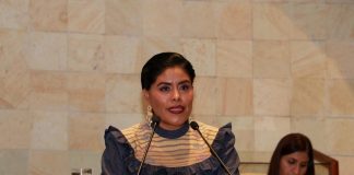 Construcción de alianzas, clave para multiplicar recursos en favor de los pueblos indígenas: ECM