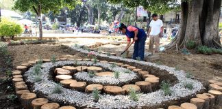 Revitaliza Ayuntamiento jardines y espacios verdes del corazón de la ciudad