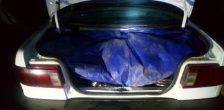 Asegura Profepa ocho mil huevos de tortuga marina en Playa La Escobilla