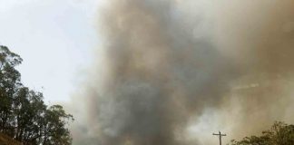 ¡Por fin! Incendios en Australia son controlados