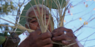 Ixcateco, idioma indígena que agoniza con seis hablantes en Oaxaca