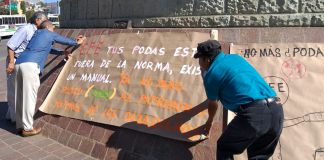 Protestan ecologistas por la tala masiva de árboles en la capital