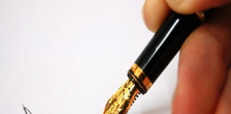 Micropotencias de Desarrollo; el caso Oaxaca