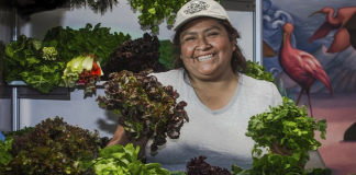 Agricultura familiar, oportunidad para seguridad alimentaria: FAO