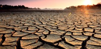 Oaxaca quedará en sequía en años venideros por el efecto del cambio climático