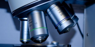 Autoridades descartan casos de coronavirus en Oaxaca