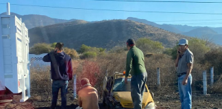 Fuerte accidente en Tlacolula deja varios lesionados