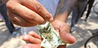 Multas de 3.4 mdp por fumar cannabis; quedará prohibido su uso en áreas públicas