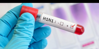 Cobra influenza la vida a 7 persona en lo que va del año