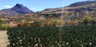 Mixteca, donde todo es posible