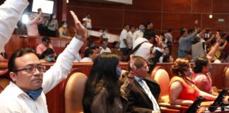 Oaxaca, primer estado en aprobar reforma en materia de Bienestar: Pável Meléndez
