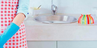 EfeméridesRIO: Día Internacional de las Trabajadoras del Hogar