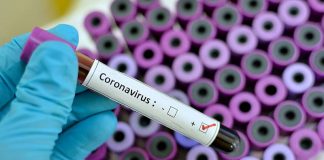 Pide DCE evitar difundir especulaciones sobre el nuevo coronavirus