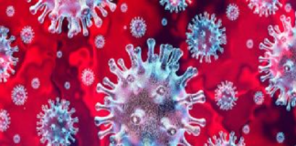 Alcanza Oaxaca 115 muertes por COVID-19