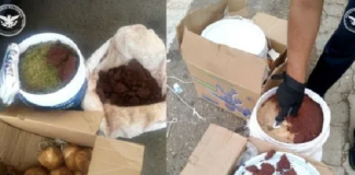 En Oaxaca aseguran mariguana oculta en cubetas con chocolate