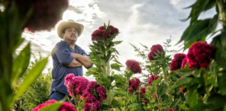 ¿Sin cerveza por culpa del coronavirus? Este pueblo en Oaxaca lleva 32 años de “Ley Seca”