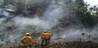 Solicitan declaratoria de emergencia para 9 municipios de Oaxaca