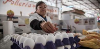 Precio del huevo se dispara 33.92% en la primera mitad de febrero
