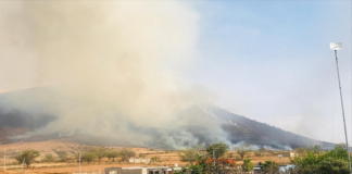 Reporta Coesfo 104 incendios forestales en Oaxaca