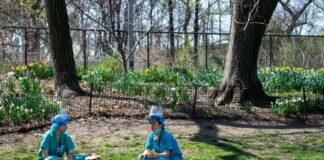 Nuevo récord de muertos por Covid-19 en NY; curva de casos baja