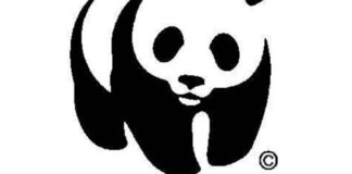 WWF e IKEA Social Entrepreneurship apoyarán a empresas comunitarias de Oaxaca