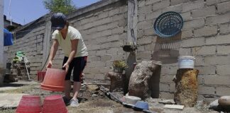 Pide SSO realizar acciones de patio limpio durante la cuarentena