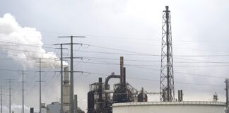 Precio del petróleo se hunde a 11.50 dólares por barril