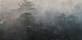 Sofocan incendio en San Pedro y San Pablo Ayutla