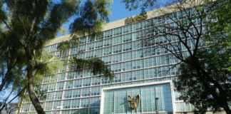 Se pierden 555 mil empleos en abril, reporta el IMSS