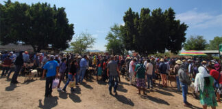 Retan ganaderos a las autoridades; instalan baratillo en San Antonino