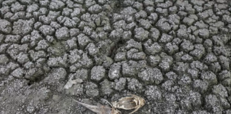 La pandemia que despejó los cielos y detuvo las ciudades no está frenando el calentamiento global